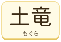 土竜（もぐら）の漢字タイル